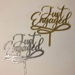 Pleksi Pasta Süsü (Just Engaged)